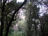 DSCN5659.JPG