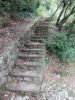 DSCN5662.JPG