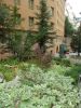 DSCN5685.JPG