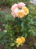 DSCN5700.JPG