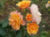 DSCN5702.JPG