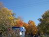 DSCN6150.JPG