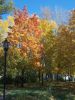 DSCN6151.JPG
