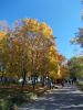 DSCN6152.JPG