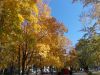 DSCN6153.JPG