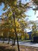 DSCN6154.JPG