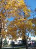 DSCN6158.JPG