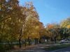 DSCN6162.JPG