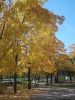 DSCN6163.JPG