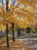 DSCN6164.JPG