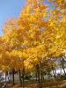 DSCN6165.JPG