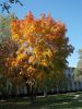 DSCN6166.JPG
