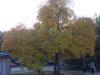 DSCN6167.JPG