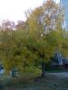 DSCN6168.JPG