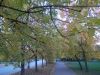 DSCN6170.JPG