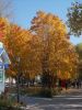 DSCN6176.JPG