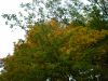 DSCN9511.JPG