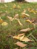 DSCN9519.JPG