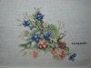 DSCN9538.JPG
