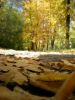 DSCN9624.JPG