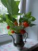 DSCN9962.JPG