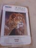 DSC_0598.jpg