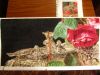 IMG_0842.JPG