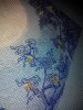 IMG_20160827_213127.jpg