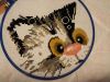 IMG_20160908_152534.jpg