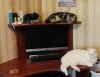 IMG_20160912_102156.jpg