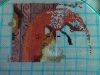 IMG_20160913_082723.jpg