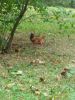 P_20160831_130149_1_p.jpg