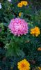 WP_20160828_19_30_55_Pro.jpg