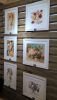 WP_20160929_13_50_59_Pro.jpg