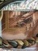 image.thumb.jpeg.3c62237a0cbd82ce5f6b2d03eae0d30a.jpeg?1473059746511