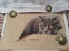20140630_000929.jpg