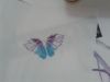 20160601_211944.jpg