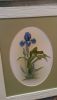 20161001_122618.jpg