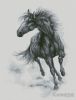 402728-191de-97784817-m750x740-u8ddd7.jpg