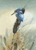 WHLF737 Little Fisher.jpg