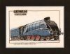 CMA125 Mallard_chart0.jpg