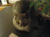 DSC00203.JPG
