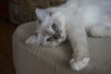 DSC03300.JPG