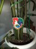 DSC04204.jpg