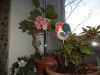 DSC04207.JPG