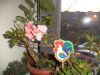 DSC04210.JPG