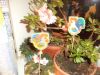 DSC04220.JPG
