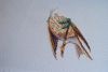 DSC04380.JPG