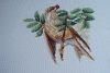 DSC04402.JPG