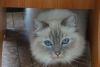 DSC05224.JPG